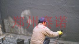 咸菜池滲漏治理方案