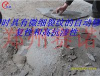 坡屋面的耐久性防水處理