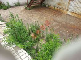 遼寧客戶來(lái)鄭州賽諾建材有限公司學(xué)習(xí)考察