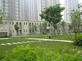 地下車庫漏水上面是種植屋面