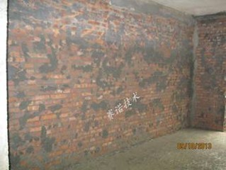 磚混結(jié)構(gòu)滲水(噴涂前)