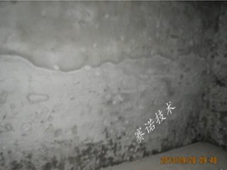 YYA特種漿料徹底解決磚混結(jié)構(gòu)漏水問題