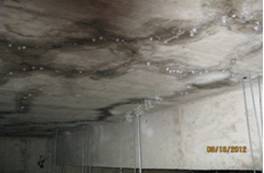 YYA 特種防水抗?jié)B漿料