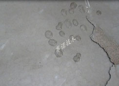 改性MD聚合物防水涂料室外防水依然表現(xiàn)出色