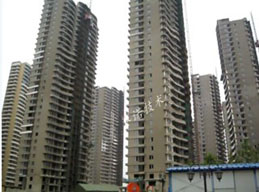 新樓盤用改性MD聚合物防水涂料做衛(wèi)生間防水