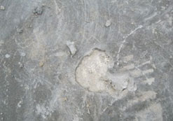 漏水點直觀局部破壞局部修復即可