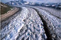 鄭賽抗震加固系統(tǒng)