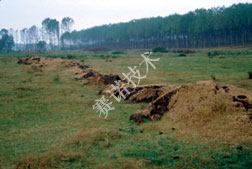 鄭賽抗震加固系統(tǒng)