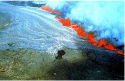 鄭賽抗震加固系統(tǒng)