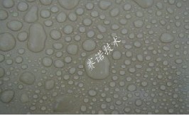 賽諾技術(shù) 賽諾技術(shù)