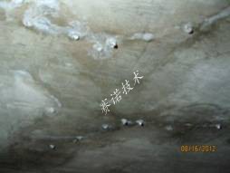 賽諾技術(shù) 賽諾技術(shù)