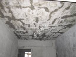 賽諾技術(shù) 賽諾技術(shù)