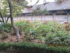 賽諾技術(shù) 賽諾技術(shù)