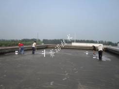 賽諾技術(shù) 賽諾技術(shù)