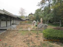 賽諾技術(shù) 賽諾技術(shù)