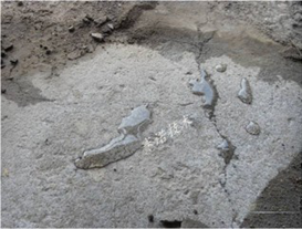 YYPE特種高分子卷材粘結(jié)劑被破壞也不漏水