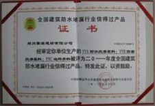 YYB特種防腐抗?jié)B漿料