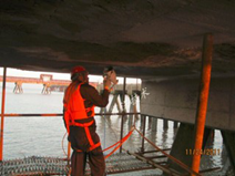 海港碼頭的防腐抗?jié)B修復(fù)