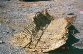 海邊混凝土、磚結(jié)構(gòu)建筑長期在海洋環(huán)境條件下腐蝕嚴(yán)重