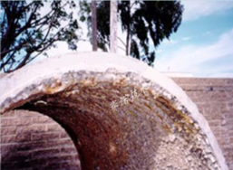 海邊混凝土、磚結(jié)構(gòu)建筑長期在海洋環(huán)境條件下腐蝕嚴(yán)重