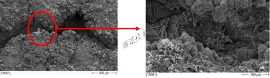 YYA特種防水抗?jié)B漿料