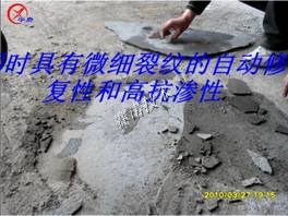 YYA特種防水抗?jié)B漿料