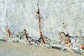 混凝土露筋修復(fù)用YY7特種路橋防水材料