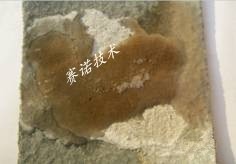 YYF特種防腐涂料鹽酸防腐實(shí)驗(yàn)