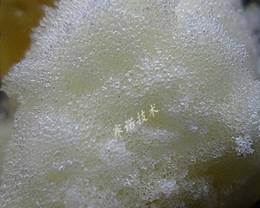 YY17形成細密的封閉狀彈性泡沫 YY17形成細密的封閉狀彈性泡沫