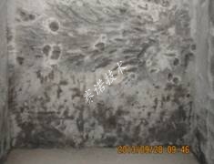 YYA特種防水抗?jié)B漿料徹底解決地下室漏水 YYA特種防水抗?jié)B漿料徹底解決地下室漏水