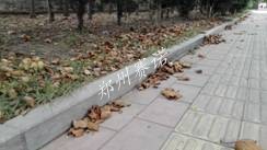 鄭州賽諾結球技術應用在路牙石 鄭州賽諾結球技術應用在路牙石