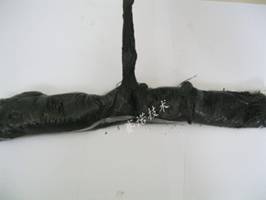 YYR伸縮縫專用密封材料具有優(yōu)良的粘接力和抗拉伸性能 YYR伸縮縫專用密封材料具有優(yōu)良的粘接力和抗拉伸性能