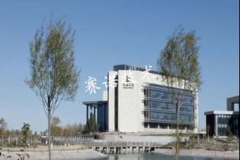 在中石化做咨詢