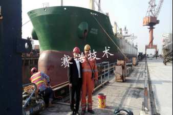 國際項目技術(shù)指導(dǎo)