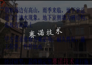 株洲別墅地下室滲漏的治理