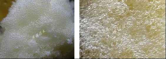 YY17特種萊卡樹脂對(duì)比