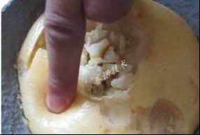 放置一年后，YY17特種萊卡樹脂依舊彈性良好