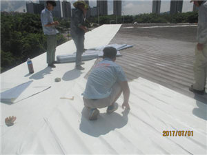 未來防水行業(yè)的發(fā)展 未來防水行業(yè)的發(fā)展