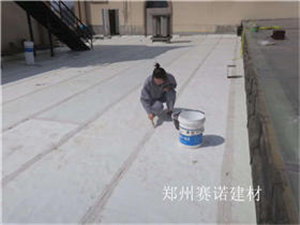 未來防水行業(yè)的發(fā)展 未來防水行業(yè)的發(fā)展