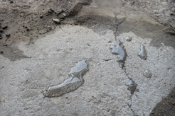 YYP滲透結(jié)晶防水涂料