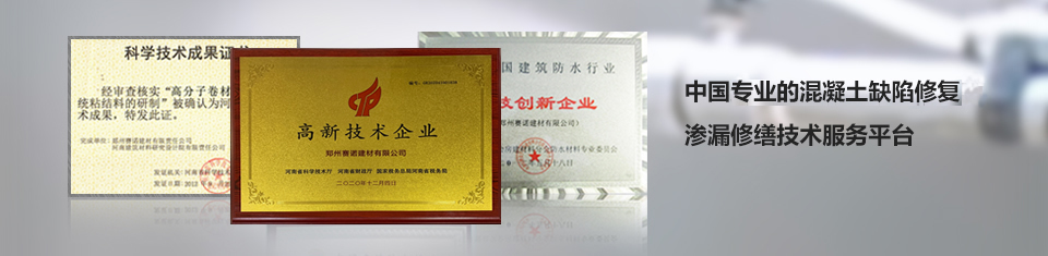 中國(guó)最專業(yè)的混凝土缺陷修復(fù)滲漏修繕技術(shù)服務(wù)平臺(tái) 中國(guó)最專業(yè)的混凝土缺陷修復(fù)滲漏修繕技術(shù)服務(wù)平臺(tái)