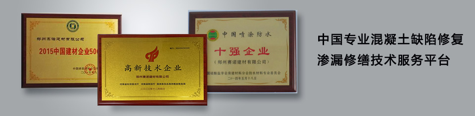 中國最專業(yè)的混凝土缺陷修復(fù)滲漏修繕技術(shù)服務(wù)平臺 中國最專業(yè)的混凝土缺陷修復(fù)滲漏修繕技術(shù)服務(wù)平臺