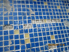 游泳池維修方案 游泳池維修方案